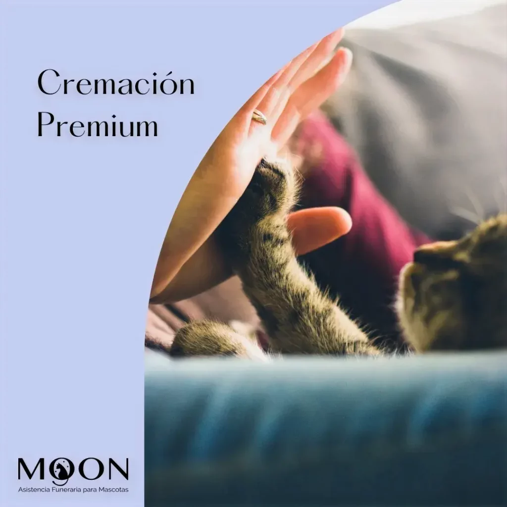 cremacion premium edited